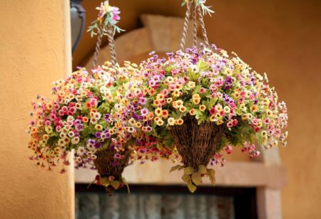 types of hanging flowers